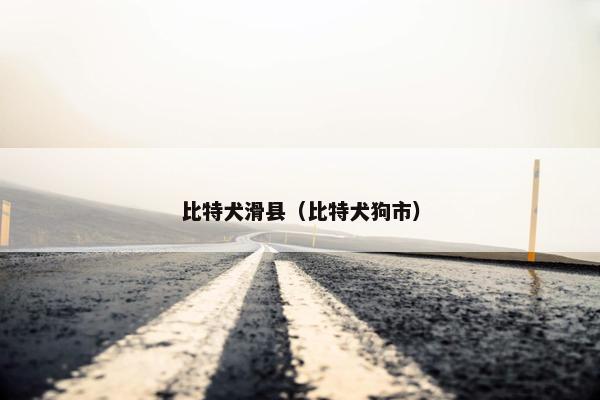 比特犬滑县（比特犬狗市）