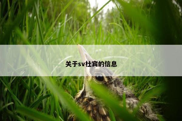 关于sv杜宾的信息