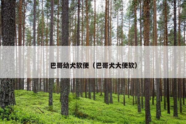 巴哥幼犬软便（巴哥犬大便软）