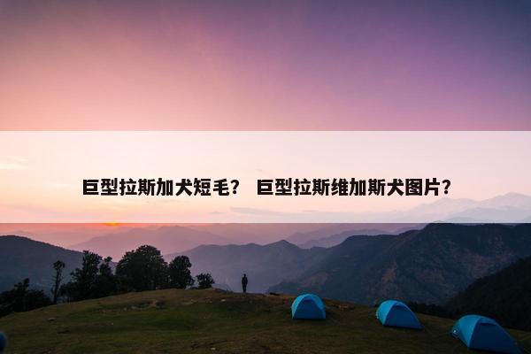 巨型拉斯加犬短毛？ 巨型拉斯维加斯犬图片？