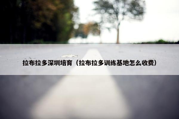 拉布拉多深圳培育（拉布拉多训练基地怎么收费）