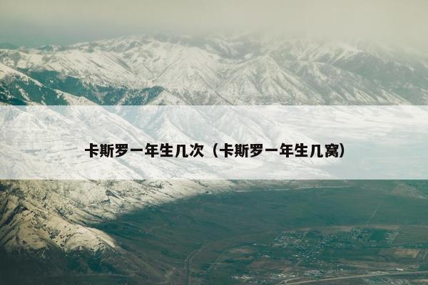 卡斯罗一年生几次（卡斯罗一年生几窝）