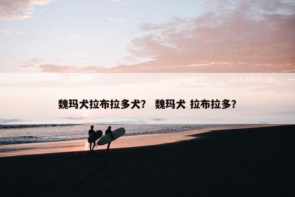 魏玛犬拉布拉多犬？ 魏玛犬 拉布拉多？