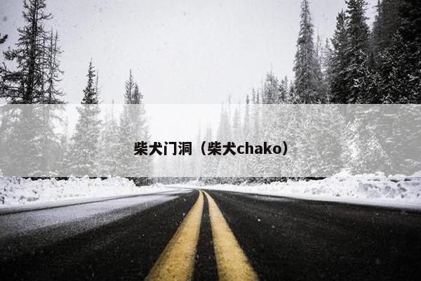 柴犬门洞（柴犬chako）