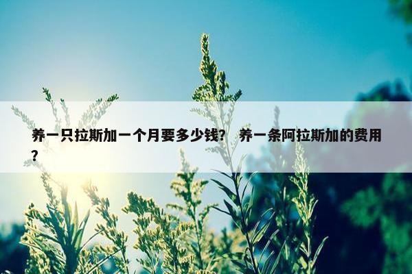 养一只拉斯加一个月要多少钱？ 养一条阿拉斯加的费用？