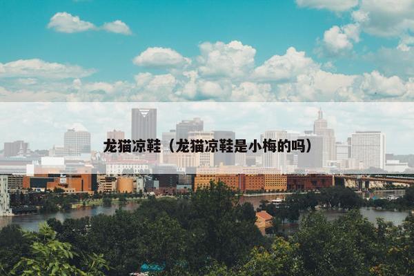 龙猫凉鞋（龙猫凉鞋是小梅的吗）
