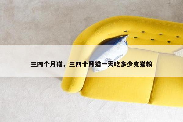 三四个月猫，三四个月猫一天吃多少克猫粮