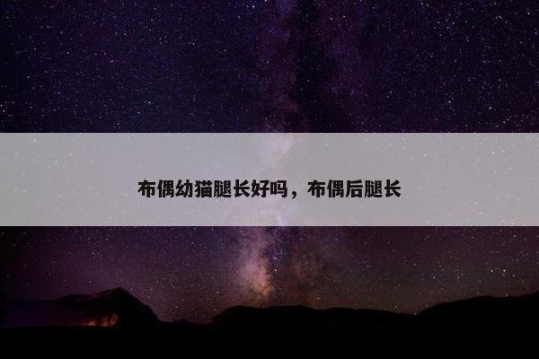 布偶幼猫腿长好吗，布偶后腿长