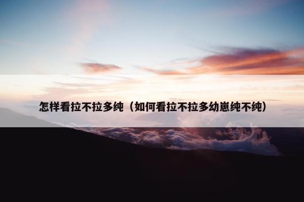 怎样看拉不拉多纯（如何看拉不拉多幼崽纯不纯）