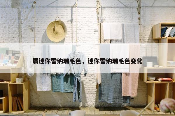 属迷你雪纳瑞毛色，迷你雪纳瑞毛色变化