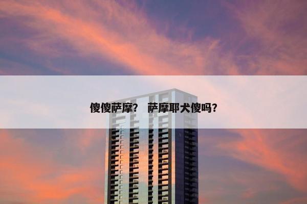 傻傻萨摩？ 萨摩耶犬傻吗？