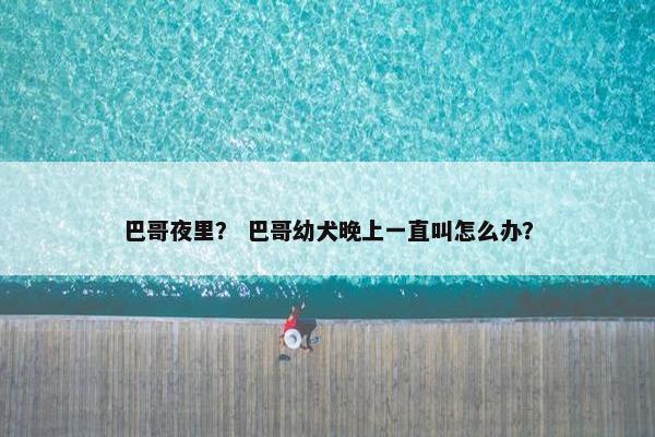巴哥夜里？ 巴哥幼犬晚上一直叫怎么办？