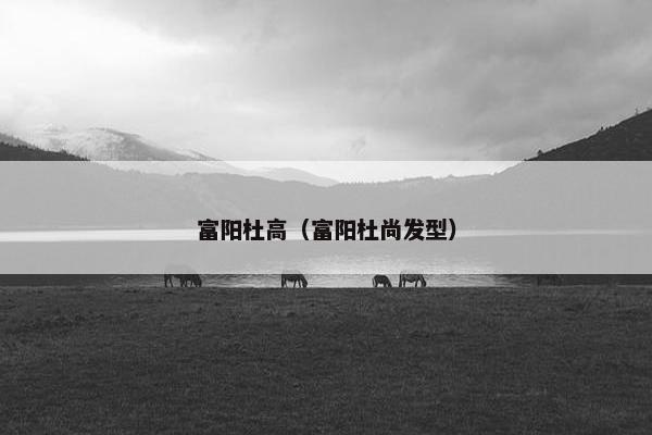 富阳杜高（富阳杜尚发型）