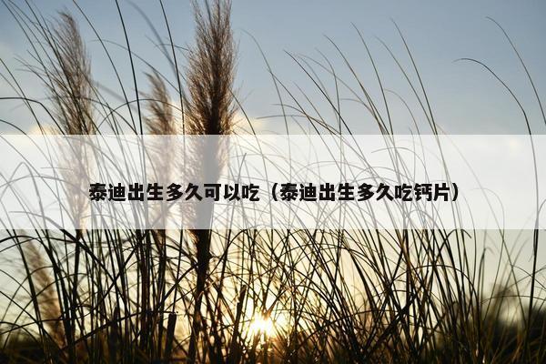 泰迪出生多久可以吃（泰迪出生多久吃钙片）