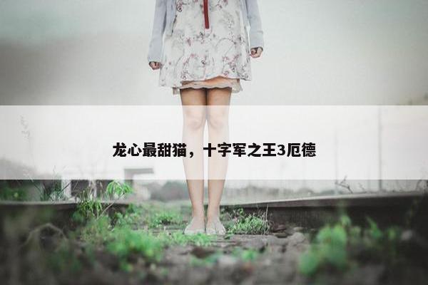 龙心最甜猫，十字军之王3厄德
