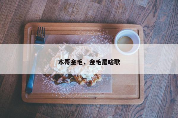 木哥金毛，金毛是啥歌