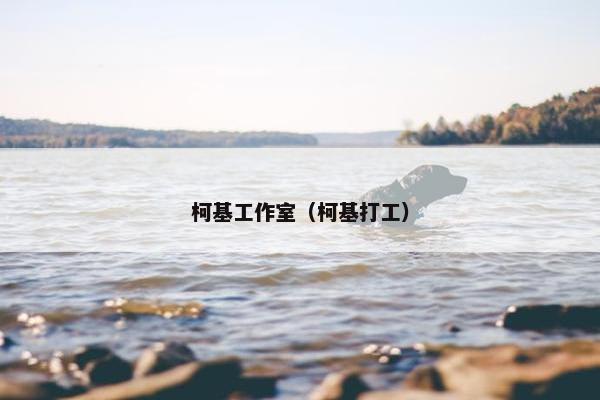 柯基工作室（柯基打工）