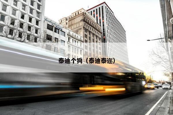 泰迪个狗（泰迪泰迩）