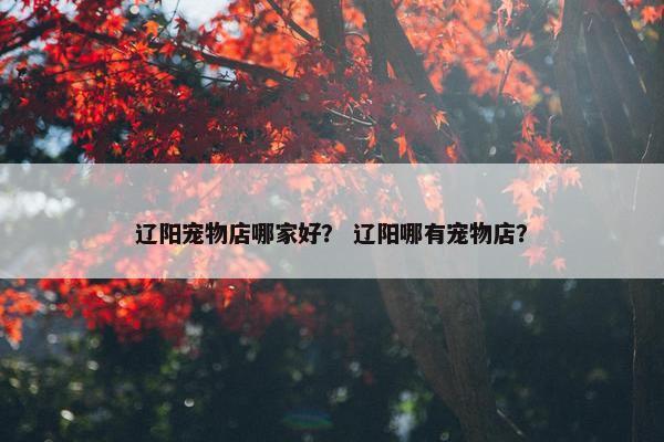 辽阳宠物店哪家好？ 辽阳哪有宠物店？