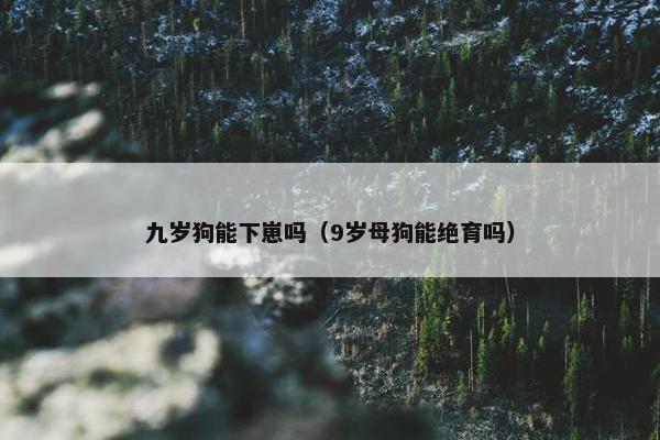 九岁狗能下崽吗（9岁母狗能绝育吗）