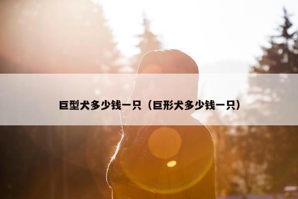 巨型犬多少钱一只（巨形犬多少钱一只）