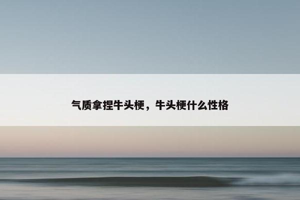 气质拿捏牛头梗，牛头梗什么性格