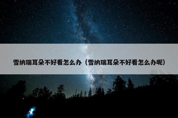 雪纳瑞耳朵不好看怎么办（雪纳瑞耳朵不好看怎么办呢）