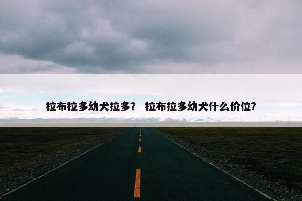 拉布拉多幼犬拉多？ 拉布拉多幼犬什么价位？