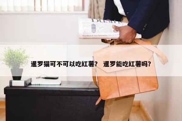 暹罗猫可不可以吃红薯？ 暹罗能吃红薯吗？