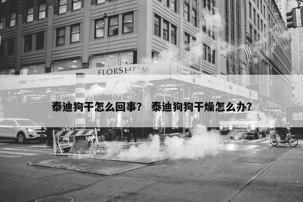 泰迪狗干怎么回事？ 泰迪狗狗干燥怎么办？