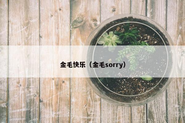 金毛快乐（金毛sorry）