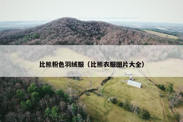 比熊粉色羽绒服（比熊衣服图片大全）