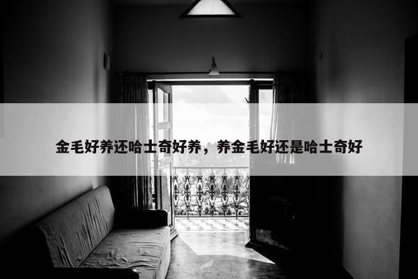 金毛好养还哈士奇好养，养金毛好还是哈士奇好