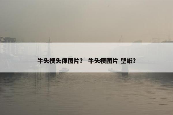 牛头梗头像图片？ 牛头梗图片 壁纸？