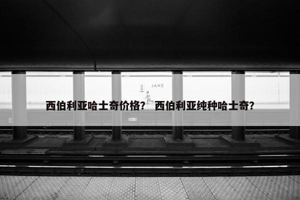 西伯利亚哈士奇价格？ 西伯利亚纯种哈士奇？