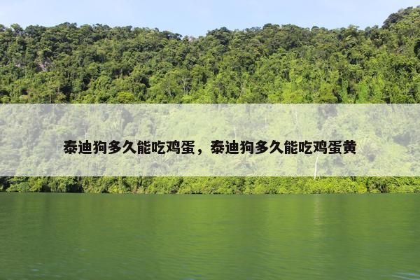 泰迪狗多久能吃鸡蛋，泰迪狗多久能吃鸡蛋黄