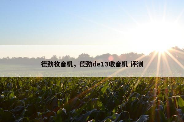 德劲牧音机，德劲de13收音机 评测