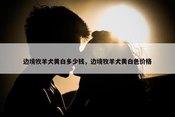 边境牧羊犬黄白多少钱，边境牧羊犬黄白色价格