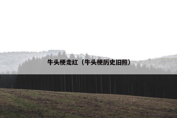 牛头梗走红（牛头梗历史旧照）