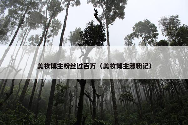 美妆博主粉丝过百万（美妆博主涨粉记）