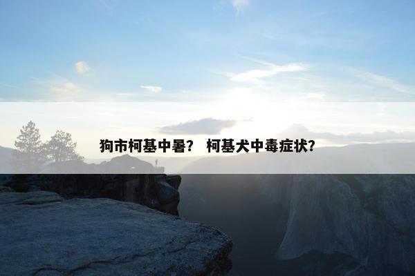 狗市柯基中暑？ 柯基犬中毒症状？