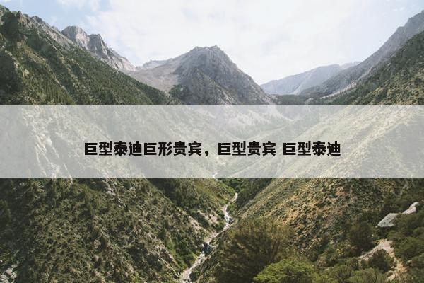 巨型泰迪巨形贵宾，巨型贵宾 巨型泰迪