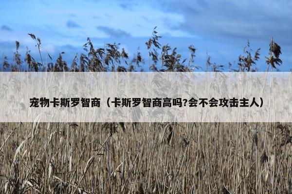 宠物卡斯罗智商（卡斯罗智商高吗?会不会攻击主人）