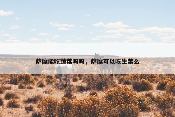 萨摩能吃蔬菜吗吗，萨摩可以吃生菜么