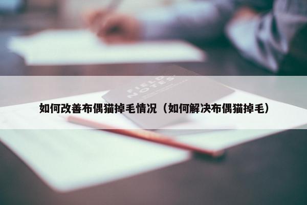 如何改善布偶猫掉毛情况（如何解决布偶猫掉毛）