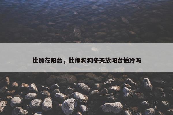 比熊在阳台，比熊狗狗冬天放阳台怕冷吗