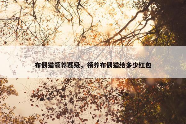 布偶猫领养赛级，领养布偶猫给多少红包