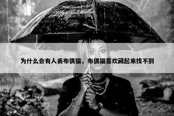 为什么会有人丢布偶猫，布偶猫喜欢藏起来找不到