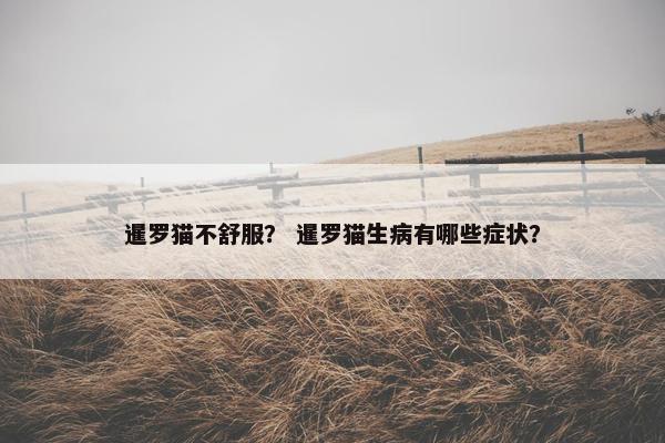 暹罗猫不舒服？ 暹罗猫生病有哪些症状？