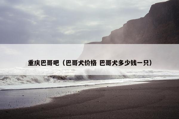 重庆巴哥吧（巴哥犬价格 巴哥犬多少钱一只）